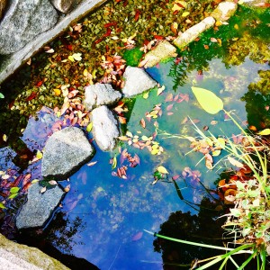 img_1844